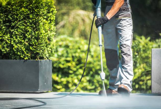 Best Solar Panel Cleaning  in Siesta Acres, TX