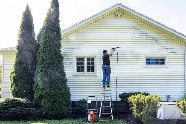 Best Driveway Pressure Washing  in Siesta Acres, TX